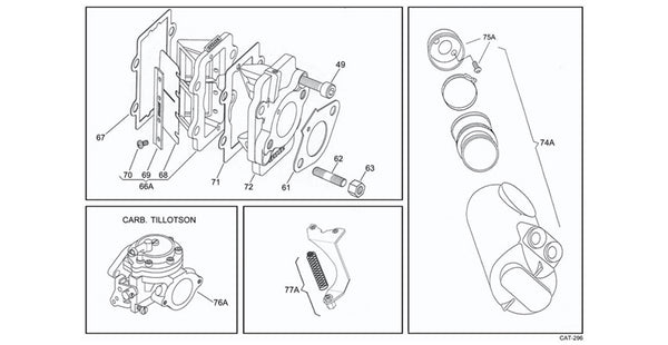 iame-my09-leopard-carb-
