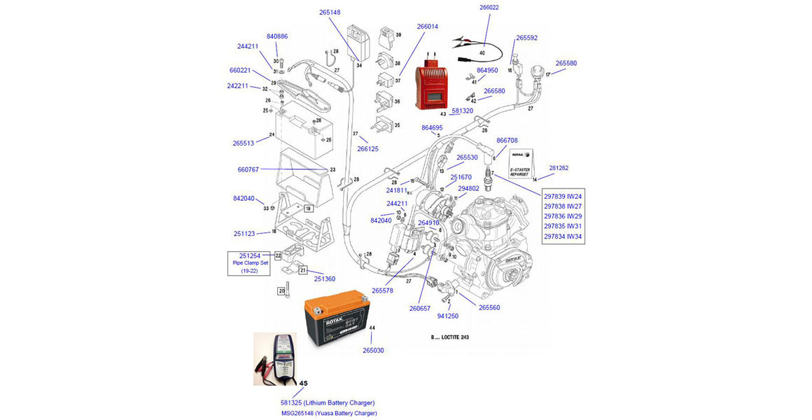 Rotax Max Wiring Harness, Ignition Parts - Old Style