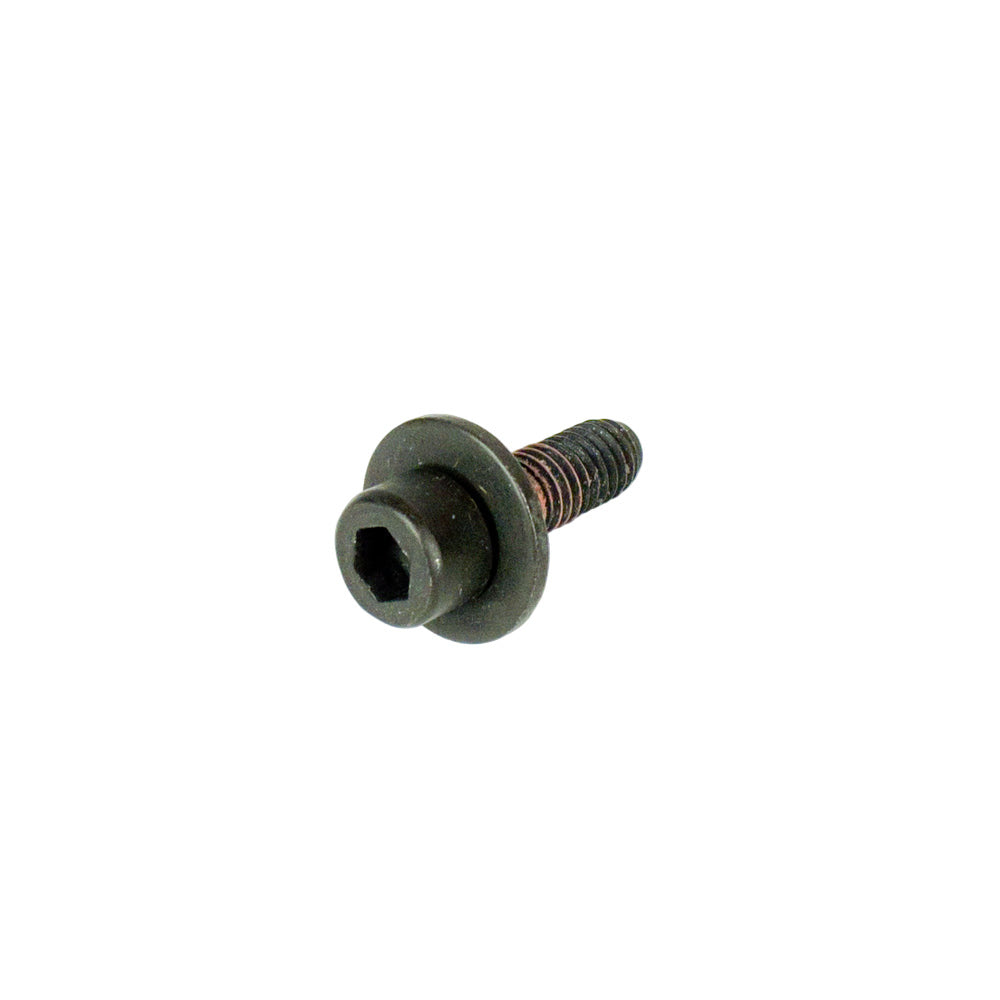 1238. 555544 Briggs Animal, LO206 Carb Intake Bolt with Flange Washer