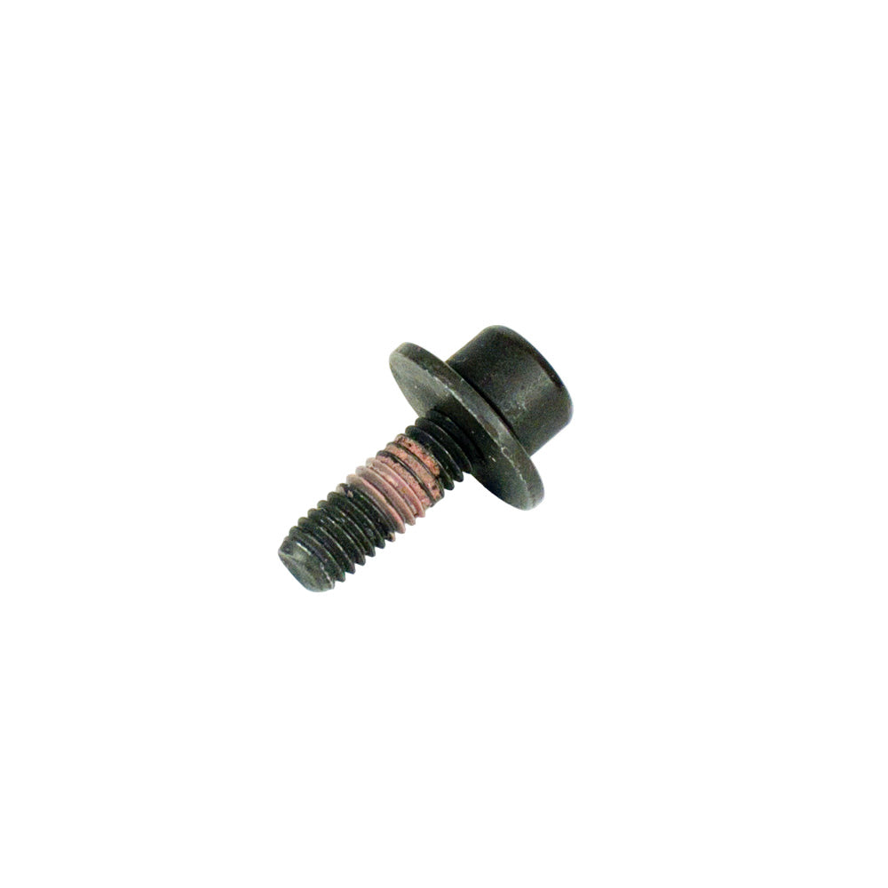 1238. 555544 Briggs Animal, LO206 Carb Intake Bolt with Flange Washer