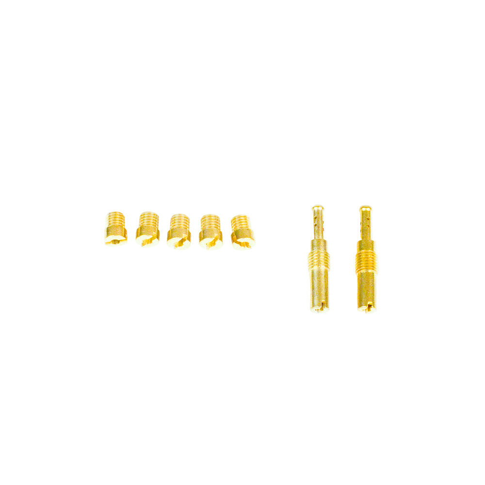 117. 557012 Briggs World Formula Gas Jet Kit for Carburetor