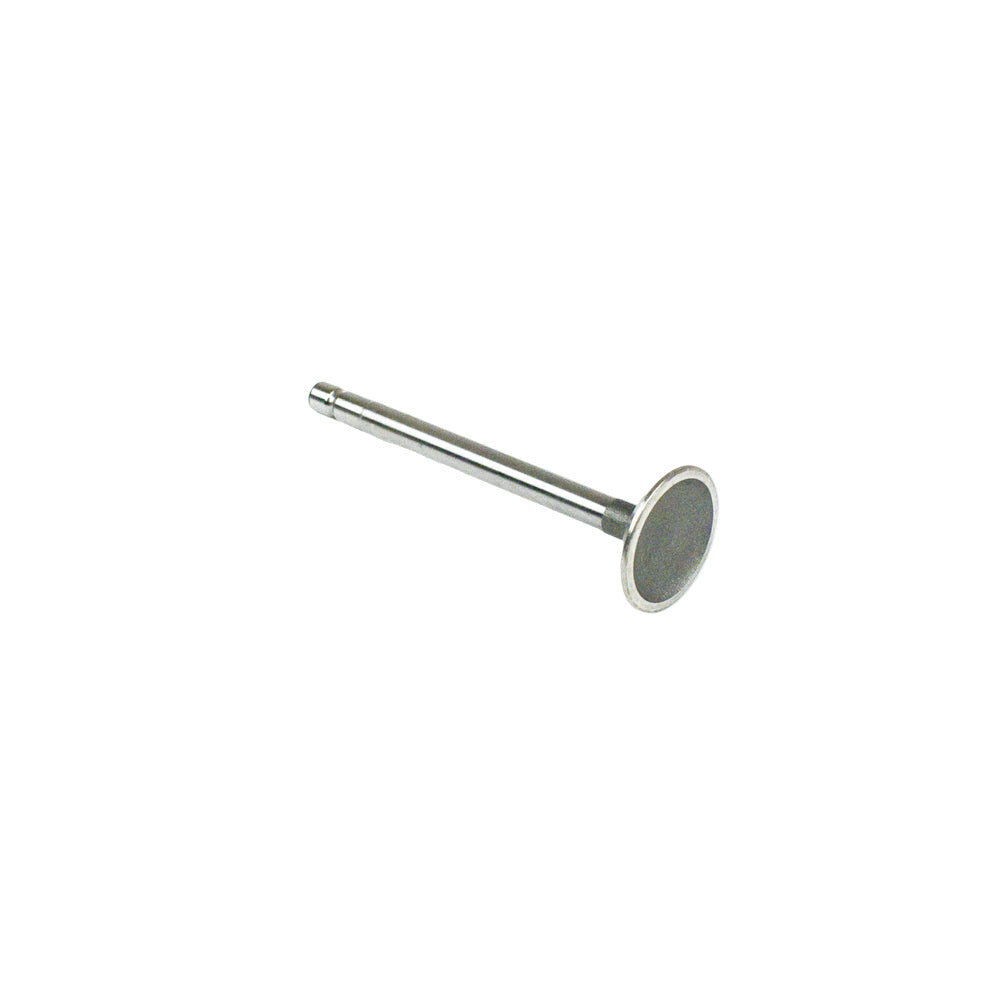 34. 557017 Briggs World Formula Intake Valve