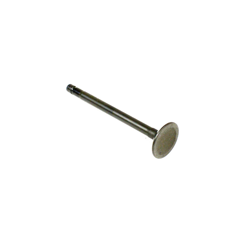 33. 557018 Briggs World Formula Exhaust Valve