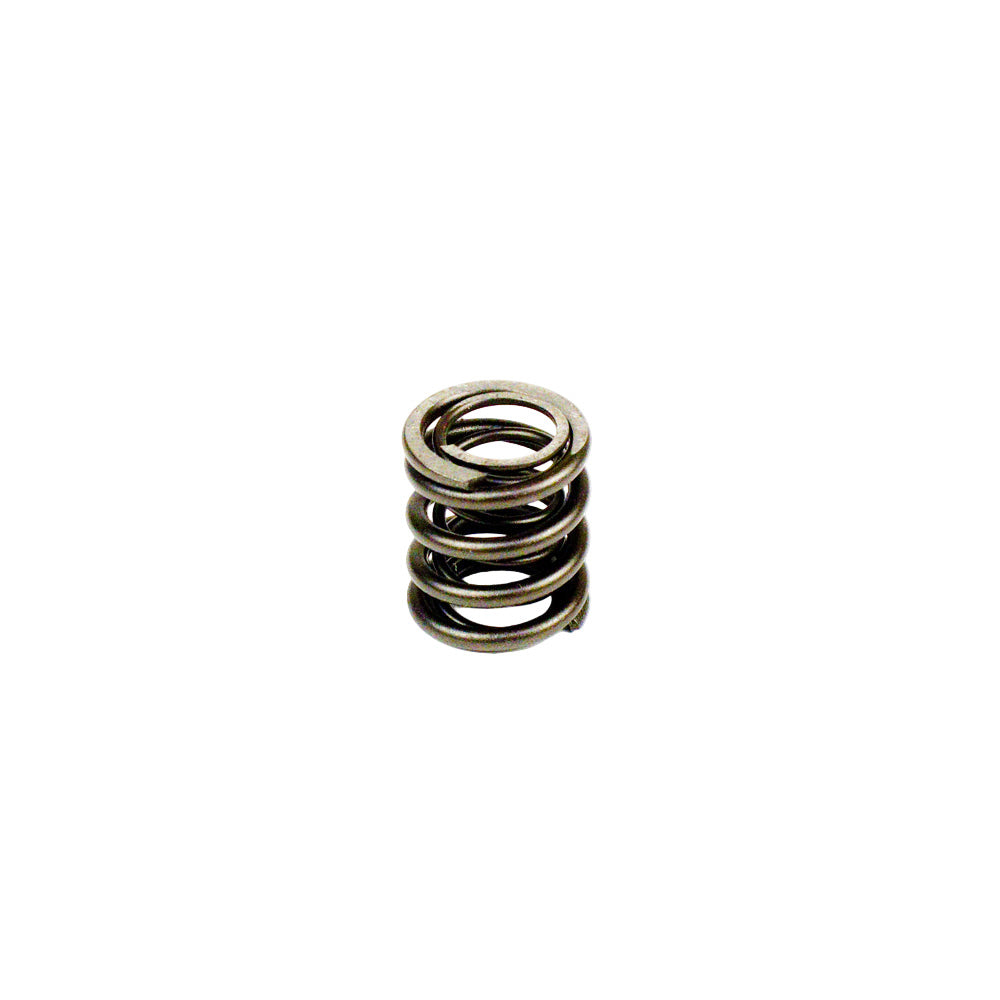 35. 557024 Briggs World Formula Intake Valve Spring