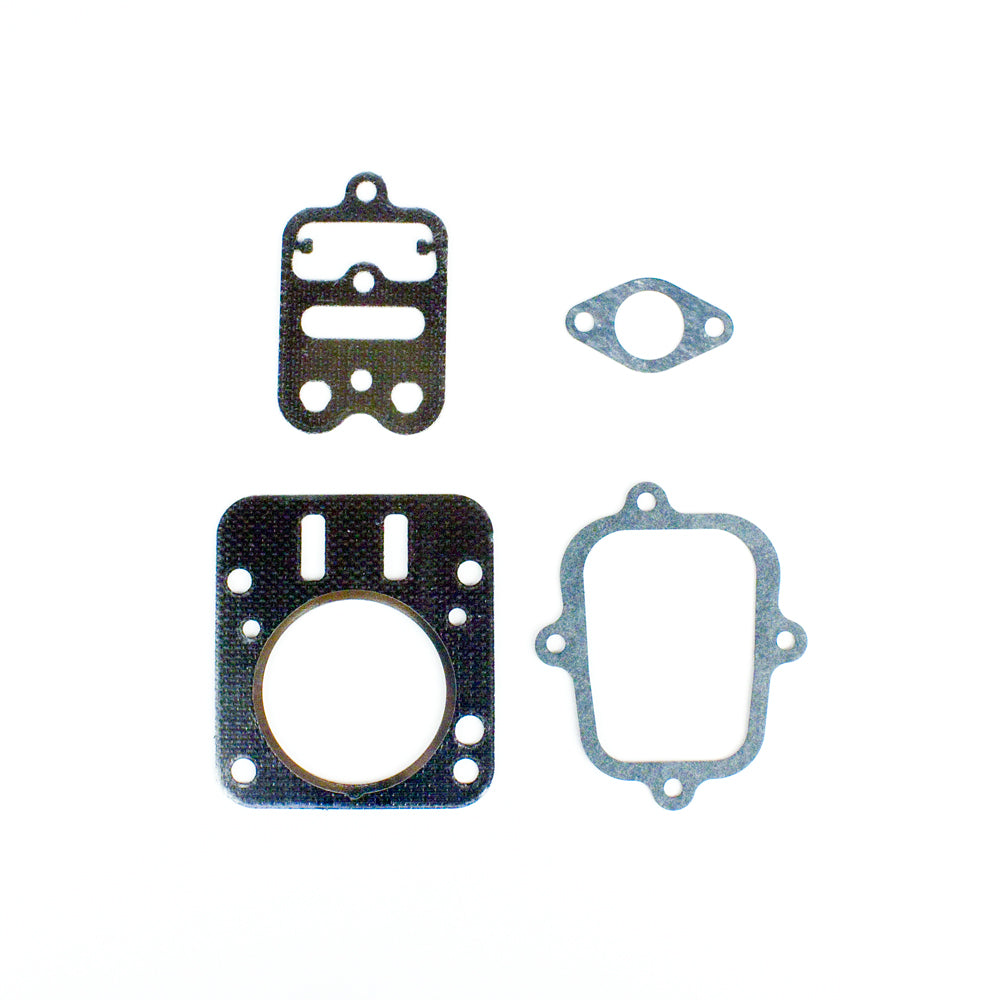 1095. 557027 Briggs World Formula Valve Gasket Set