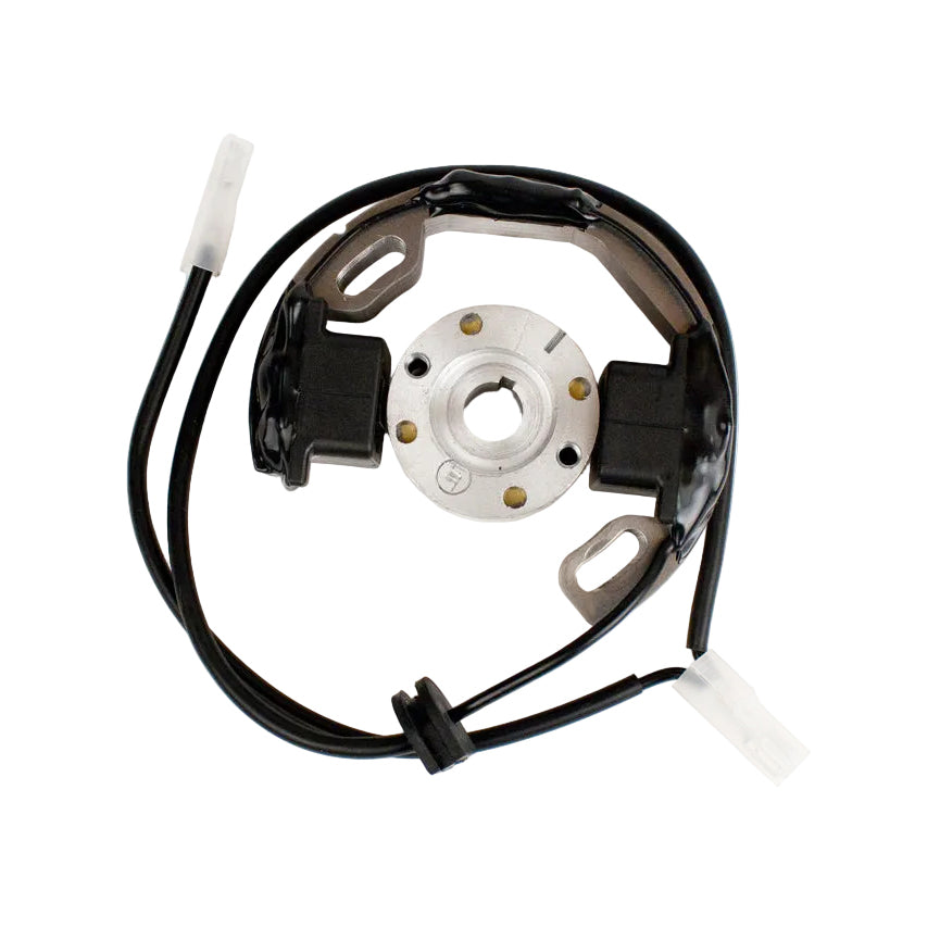 276A. A-61951 IAME Mini Swift Selettra Ignition Stator with Flywheel