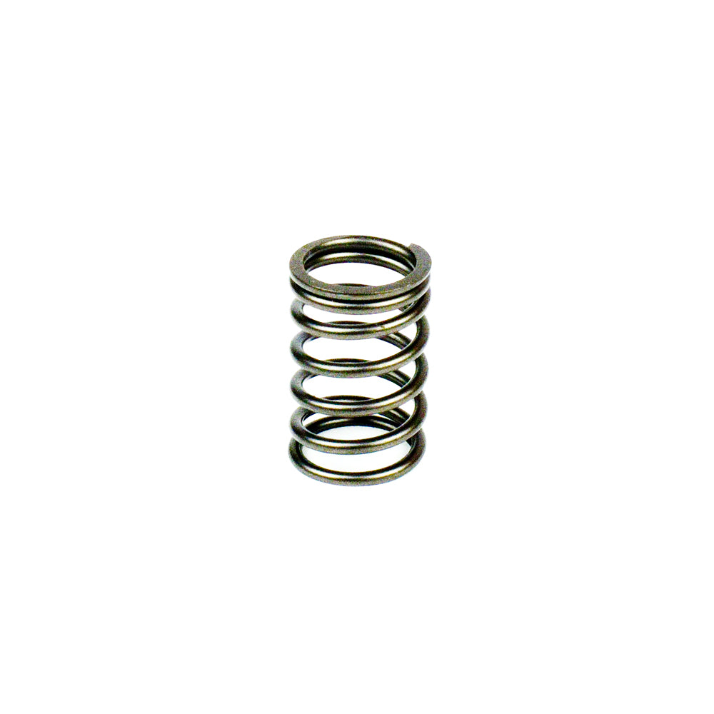 Close Out! 93004 Crane Cams Stock Briggs Flathead Intake Spring - Close Out!