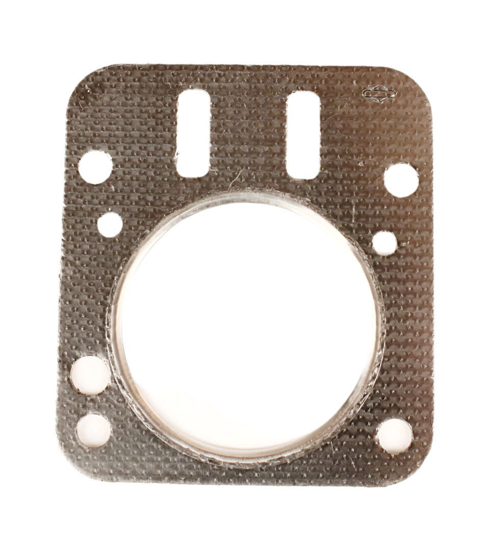 7. 798461 Briggs Animal Cylinder Head Gasket