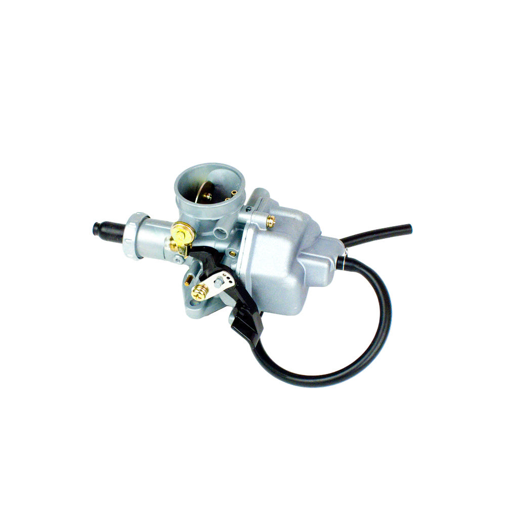 125. 557006 Briggs World Formula Carburetor