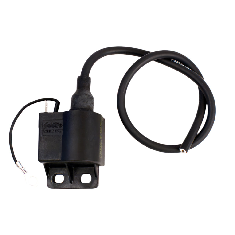 273. A-61955 IAME Mini Swift Selettra Ignition Coil - Shop Karting