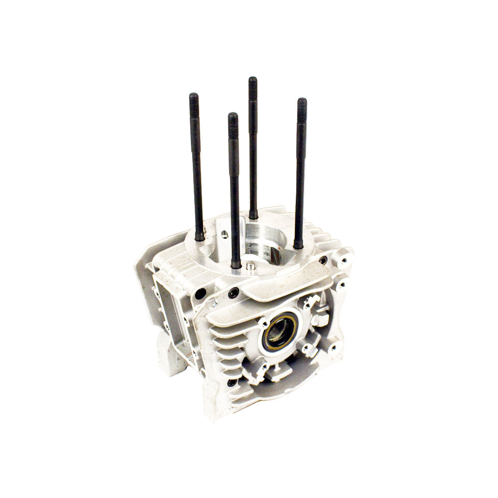 *BLOWOUT SALE* (25A) IA-B-01041 IAME MY09 Leopard Crankcase