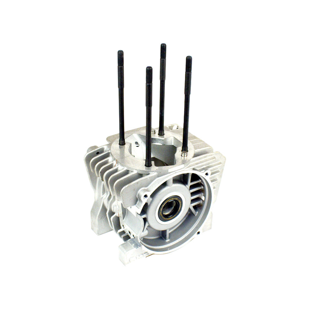 *BLOWOUT SALE* (25A) IA-B-01041 IAME MY09 Leopard Crankcase