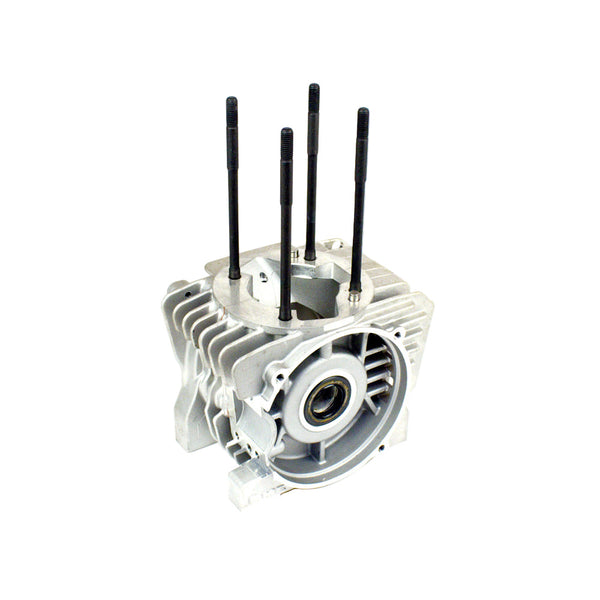 BLOWOUT SALE* (25A) IA-B-01041 IAME MY09 Leopard Crankcase - Shop
