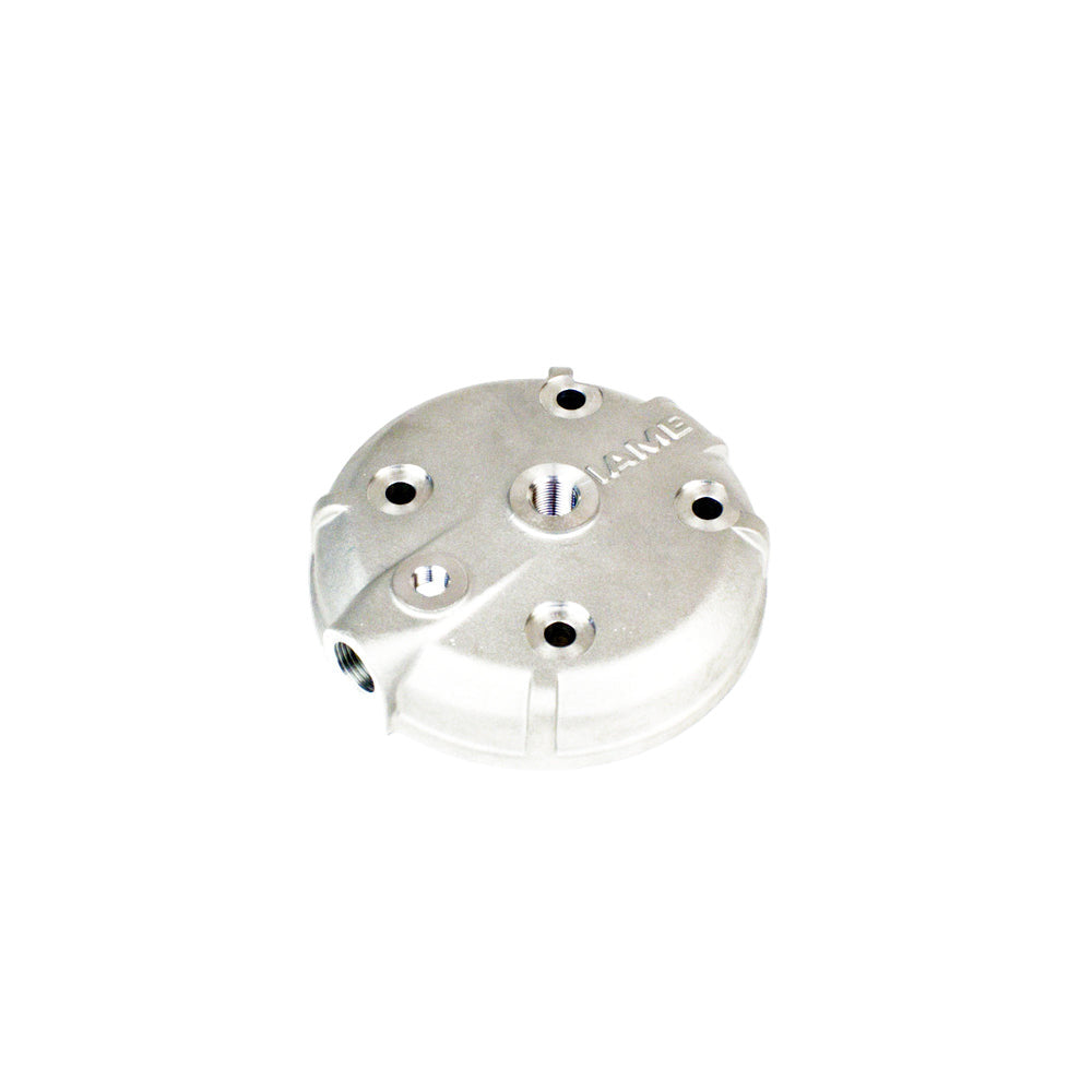 (1) IA-A-40141 Cylinder Head IAME MY09 Leopard