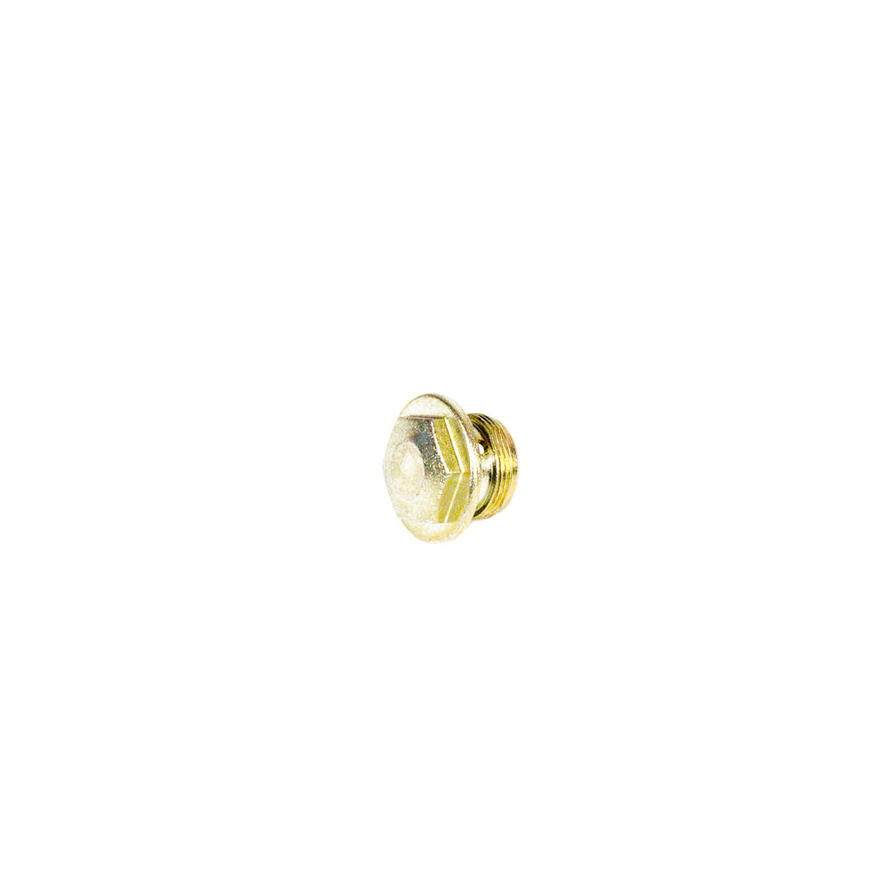 27. 261373 Rotax Max Carburetor Float Drain Plug Screw, Wrench Style