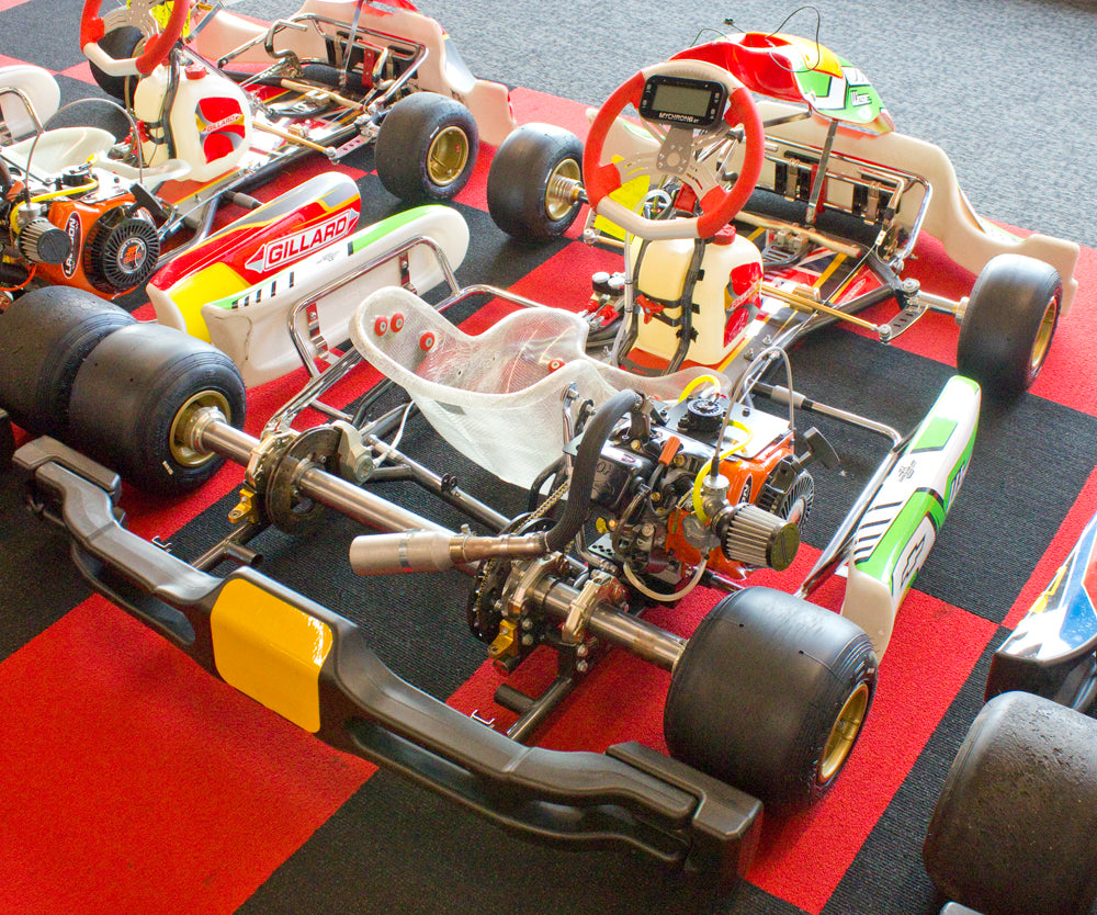 Used OTK Gillard Kart with Briggs LO206 Engine, Mychron 6 2T