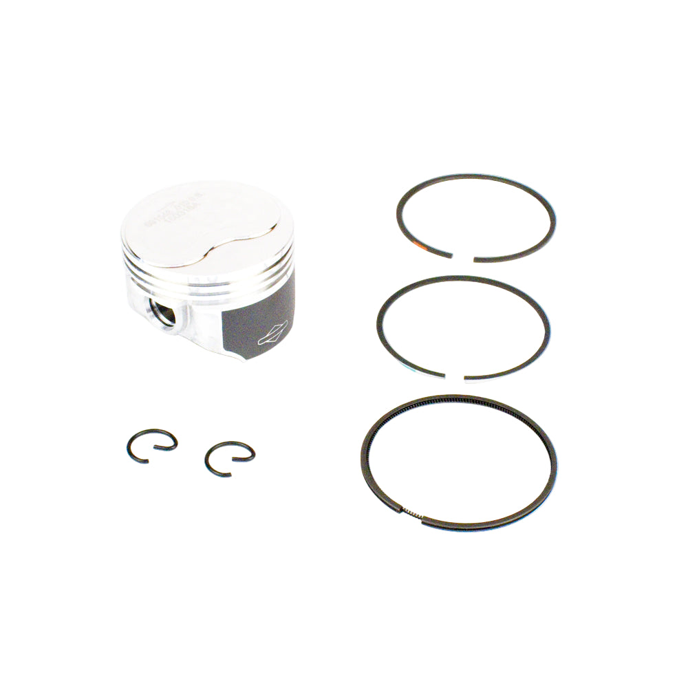 25. Briggs World Formula Piston Assembly with Rings