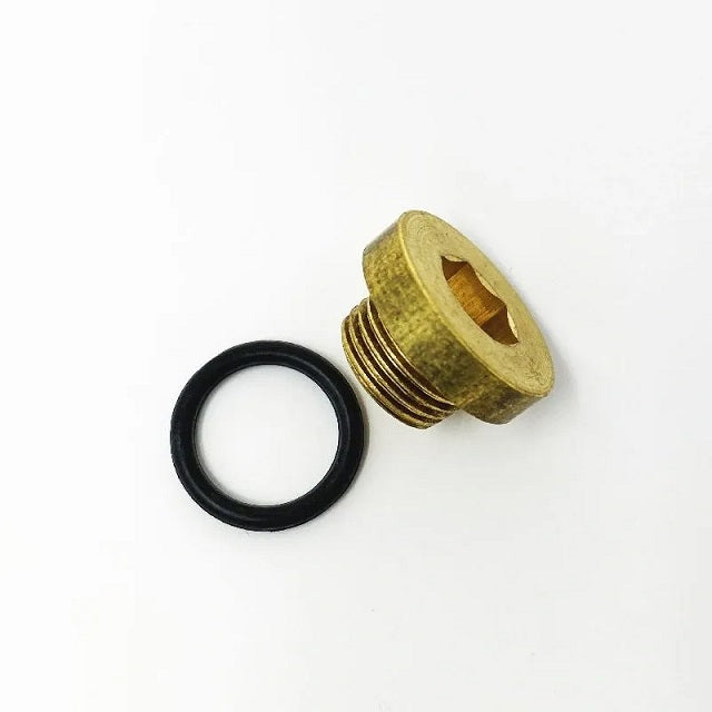 555659 Briggs Animal, LO206 Float Bowl Drain Plug and O-ring