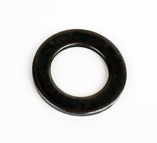 75. 691736 Briggs Flat Head Flywheel Washer