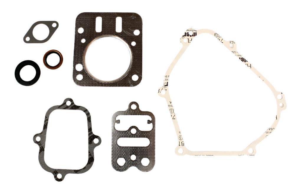 358. 555631 Briggs Animal Engine Gasket Kit