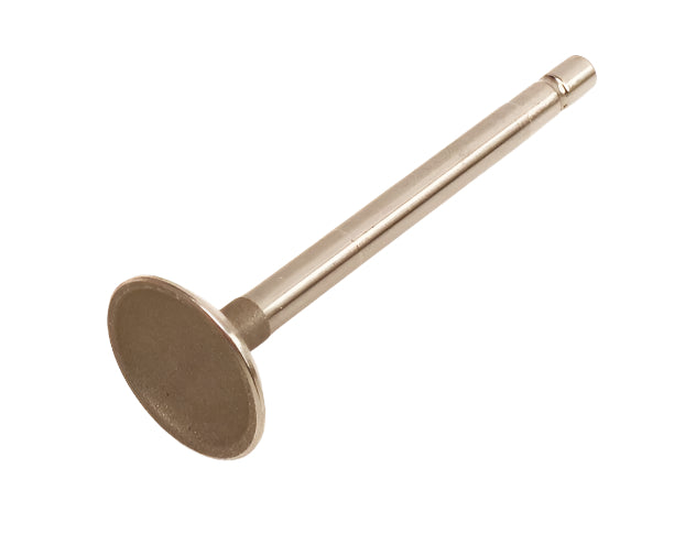 34. 555551 Briggs Animal, LO206 Intake Valve