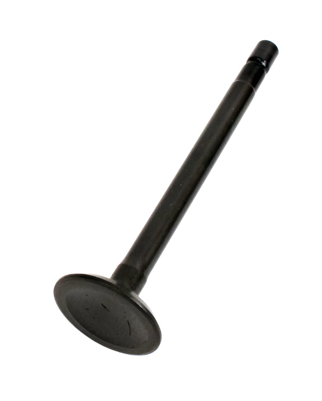 33. 555552 Briggs Animal, LO206 Engine Exhaust Valve