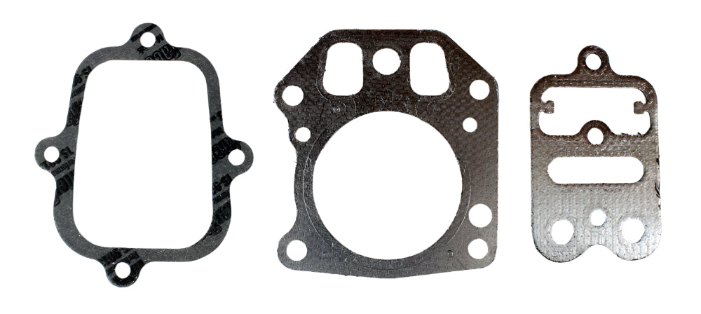 1095. 555581 Briggs Animal, LO206 Valve Gasket Set