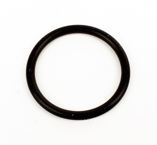 1218. 555601 Briggs Animal, LO206 Carb O-Ring