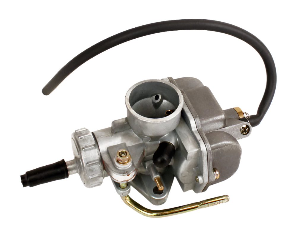 125. 555658 Briggs Animal, LO206 Carburetor