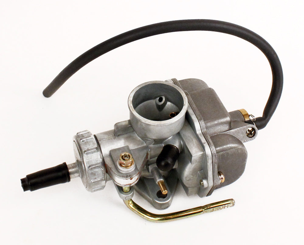 125. 555658 Briggs Animal, LO206 Carburetor