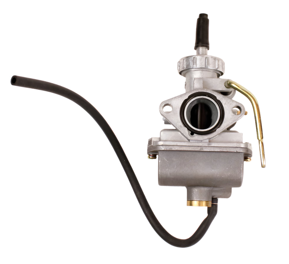 125. 555658 Briggs Animal, LO206 Carburetor