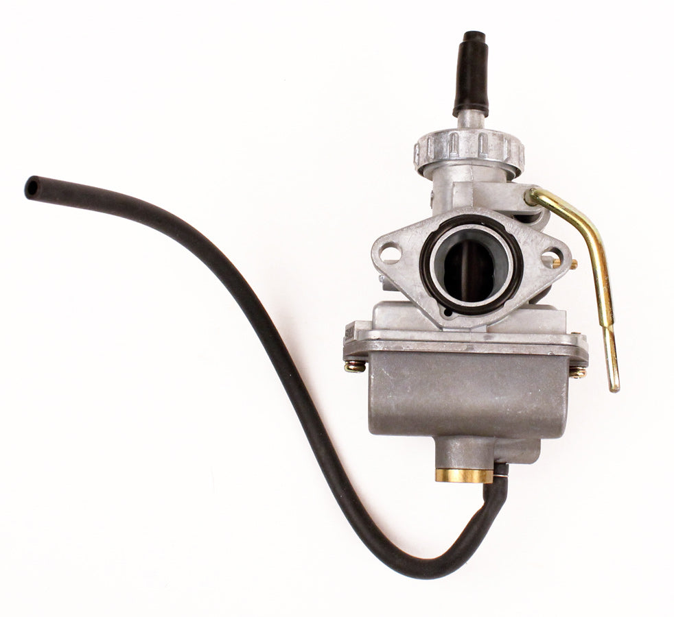 125. 555658 Briggs Animal, LO206 Carburetor