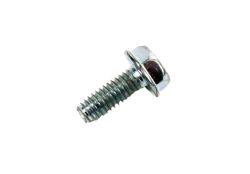 307. 794822 Briggs Animal, LO206 Screw for Cylinder Shield