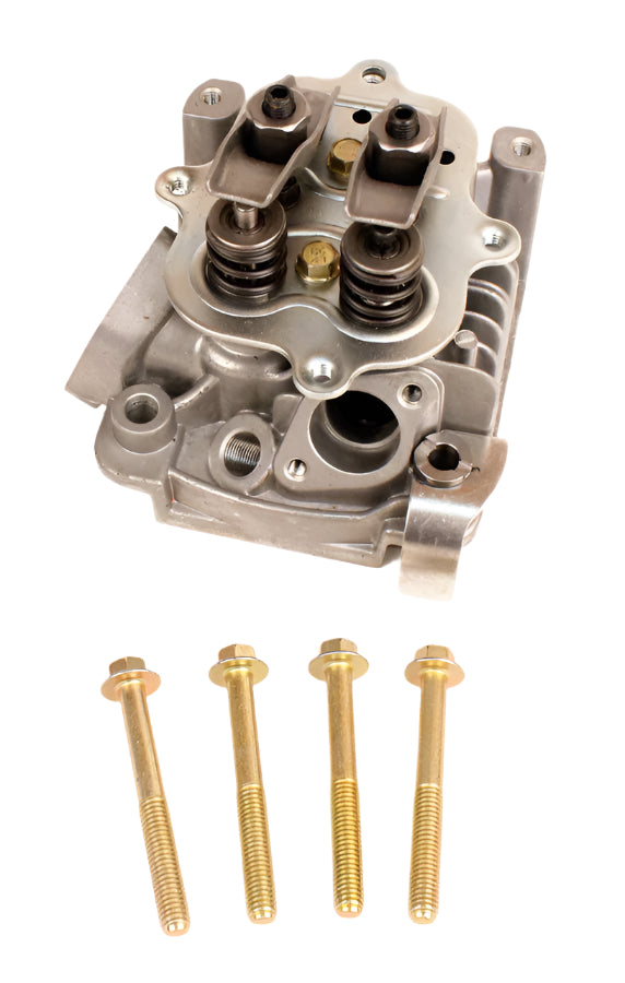 5. 555635 Briggs Animal, Briggs LO206 Cylinder Head Assembly
