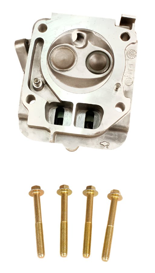 5. 555635 Briggs Animal, Briggs LO206 Cylinder Head Assembly