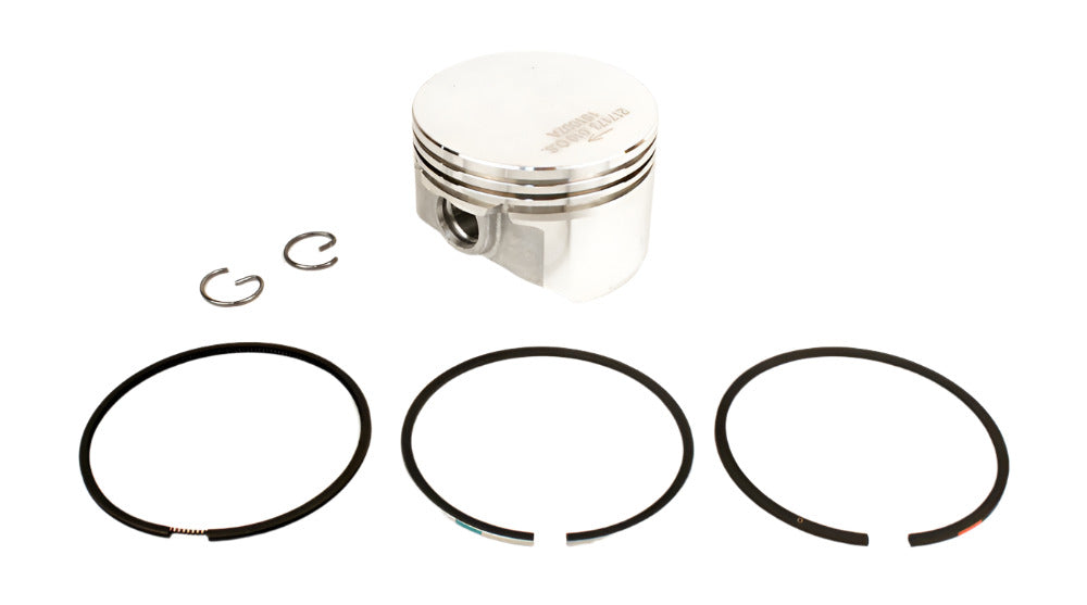 25. 555660 Briggs Animal Piston Assembly Standard