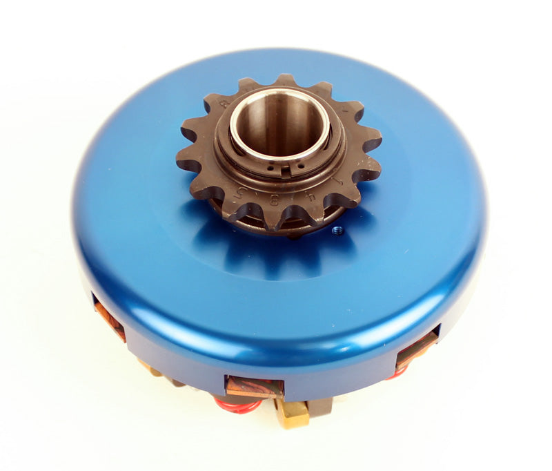 Bully Briggs Clutch 1 Disc 6 Spring