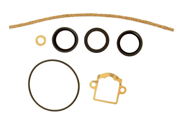 Comer C-51 Dellorto Carburetor Rebuild Kit