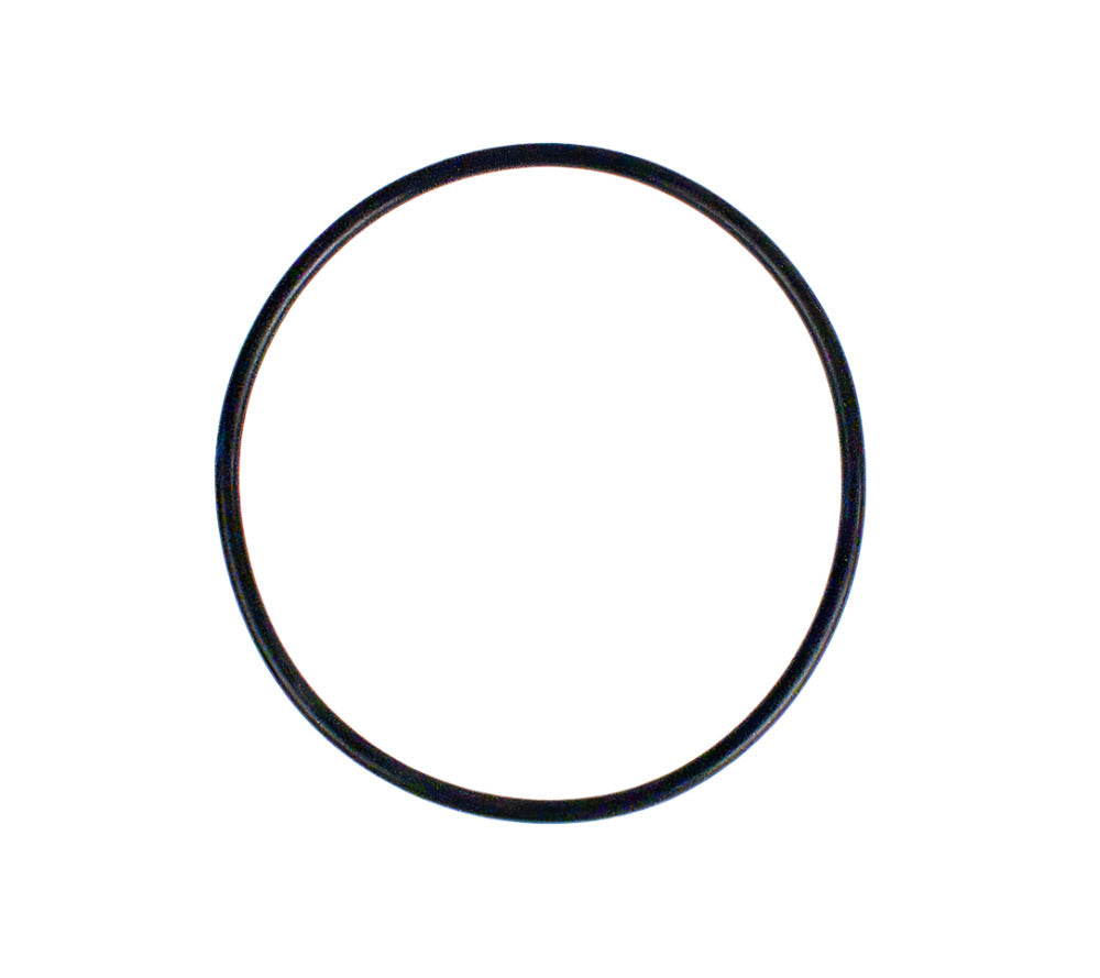 (8) D-37049 IAME KA100 Head Gasket O-Ring