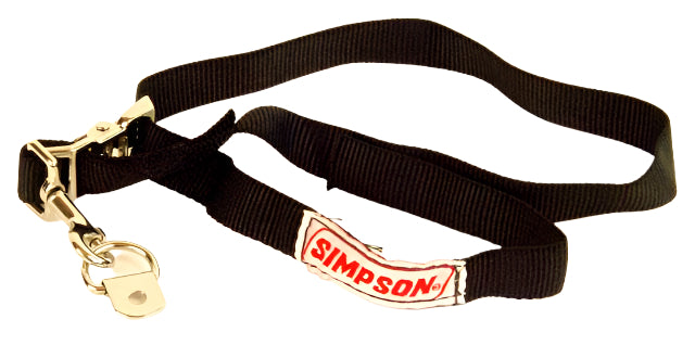 Safety Restraints