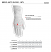 Alpinestars Glove Size Chart