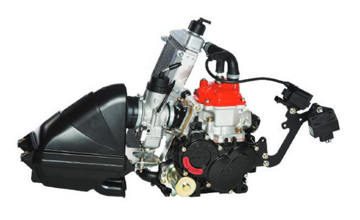 Rotax Junior Max EVO Engine Kit