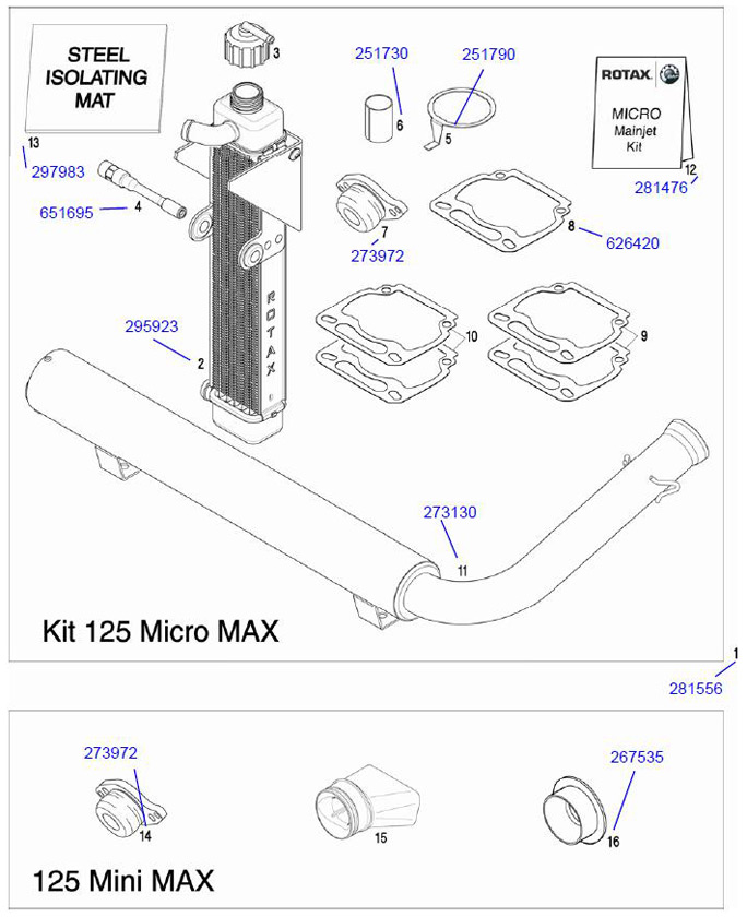 12. 281476 Rotax MicroMax Jet Kit (7 Jets)