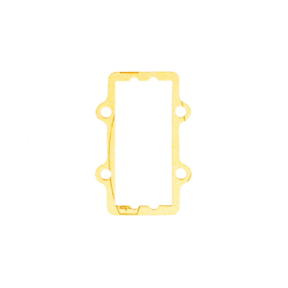 (170) X30125810 X30 White Reed Cage Gasket
