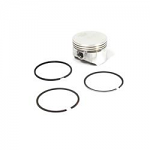Briggs Raptor 3 COATED Piston Assembly with Rings .010"- Close Out!