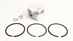 Briggs Animal COATED Piston assembly and Ring Set - Close Out!