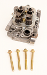 5. 555635 Briggs Animal, Briggs LO206 Cylinder Head Assembly - IN STOCK